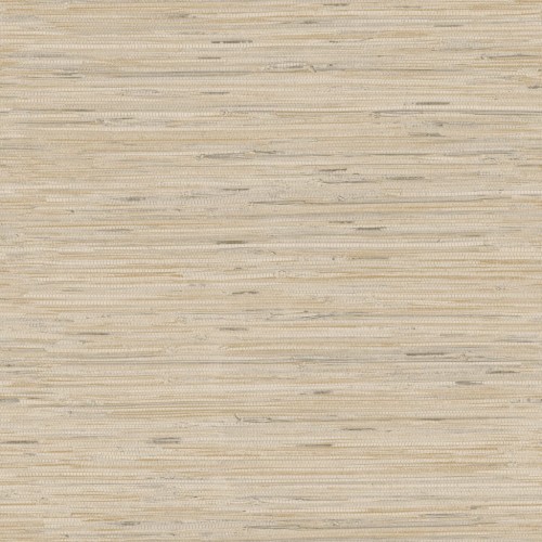 Y6201601.jpg