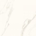 calacatta mat 120x60.jpg
