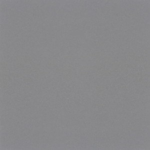 CERRAD CAMBIA GRIS LAPPATO 59,7x59,7