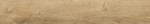 Cerrad Guardian Wood Beige Mat 20x120