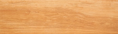 mustiq_honey_600x175mm.jpg