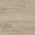 kp147-7-coastlineoak-_oh.jpg