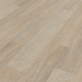 kp147-7-coastlineoak-a_cm.jpg