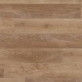 scb-kp94-palelimedoak-oh_cm.jpg