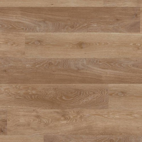 scb-kp94-palelimedoak-oh_cm.jpg