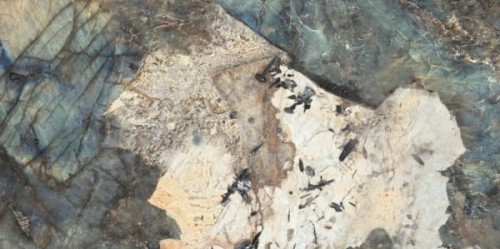 PP-01-306-1198-0598-2-006.jpg