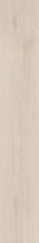 imgisU6e2.jpg