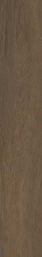 imgzg5ORG.jpg