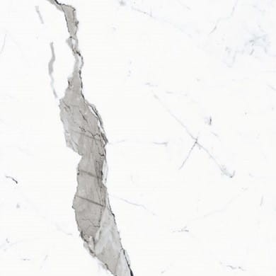 17884_0_404.jpg