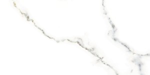 Netto Carrara Poler 600x1200