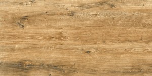 Netto Canary Wood Brown Mat 600x1200