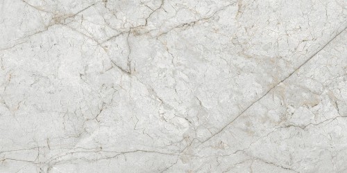 21774_0_2566.jpg