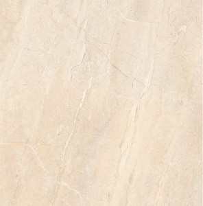 Netto Dyna Silver Poler  600X600