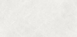 Netto Forli Light Grey Mat 600x1200