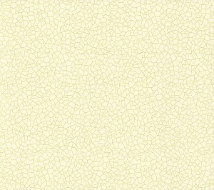 Tapeta 1838 Wallcoverings Rosemore 1601-107-01