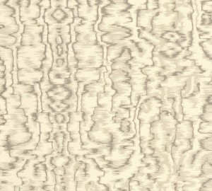 Tapeta 1838 Wallcoverings Avington 1602-105-01