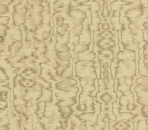 Tapeta 1838 Wallcoverings Avington 1602-105-03