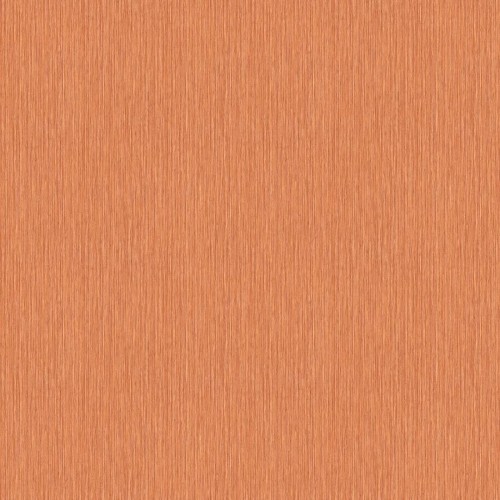BR24010_rv25r.jpg