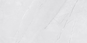Netto Wall Venezia Light Grey Shiny 300x600