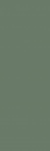 Paradyż Nightwish Green Ściana Rekt. 25x75 