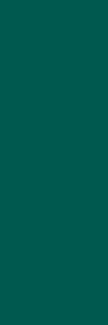 Ceramika Color Emerald Forest Mat Rekt. 25x75