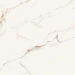 TGGP1004525001_AVERSA_STATUARIO_WHITE_POLISHED_RECT_60X60_G1.jpg
