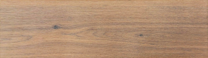 Cerrad Clue Orange Mat 600x175x8 