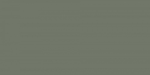 OLIVE.jpg