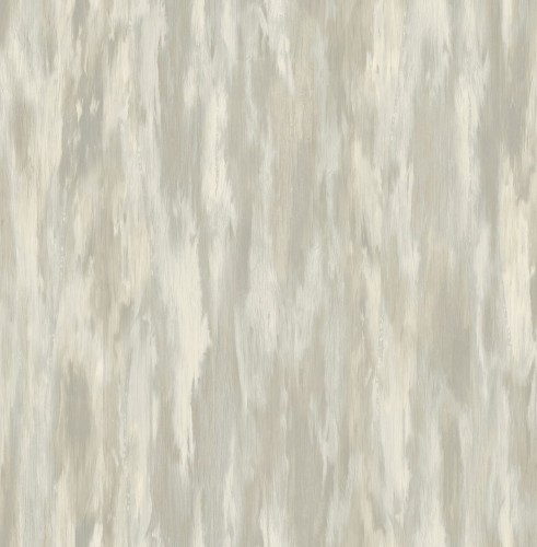 ce21009.jpg