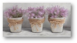 Ceramika Color Max Dekor 30x60 