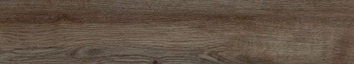 IMG_7182.jpeg