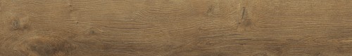 guardian-wood-honey-120x20-rf-1.jpg