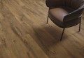 guardianwood-honey-cam2.jpg