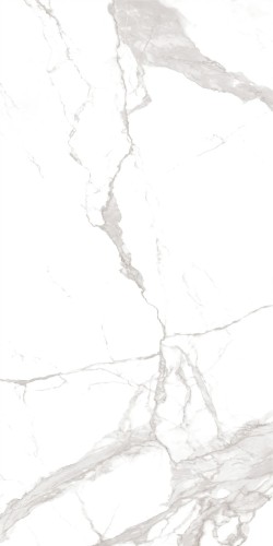 5902686958383_1.jpg