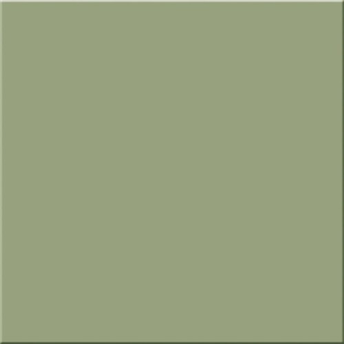PS-Pastel-oliwkowy-mat-200x200.jpg