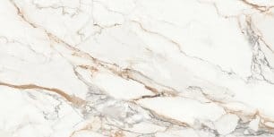 TGGP1005267928_CALACATTA_ARIATTA_WHITE_POLISHED_RECT_60X120_G1.jpg
