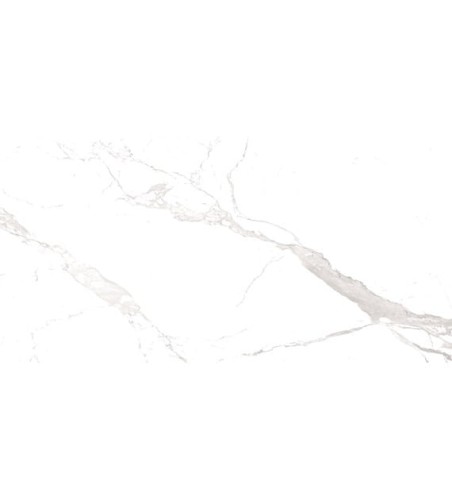 WHITECARV.jpg