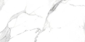 Blizzard Swiss White Lapatto 60x120 