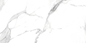 Blizzard Swiss White Poler 60x120 