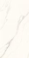calacatta mat 120x60.jpg