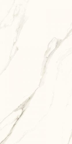 calacatta mat 120x60.jpg
