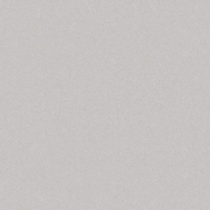 Cerrad Monolight Exterior Grey Rect. Mat 59,7x59,7   