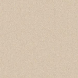Cerrad Monolight Exterior Beige Rect. Mat 59,7x59,7   