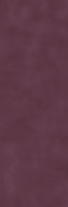 Paradyż Place of Shine Plum Mat 30x90