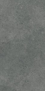 Paradyż Authority Graphite Mat 60x120 