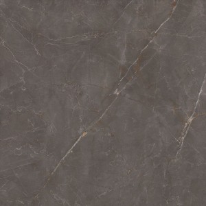 Paradyż Elegant Look Brown Mat 120x120 