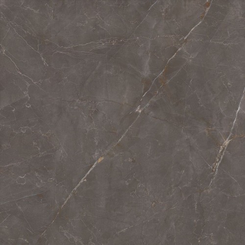 plytka-podlogowa-elegant-look-brown-119-8x119-8-ceramica-limone.jpg