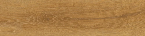 canadian-wood-honey-155x62-4-scaled.webp