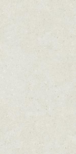 Paradyż Architeq Grain White Rekt. Mat 59,8x119,8
