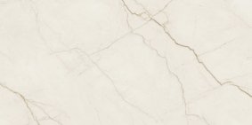TGGP1005990001_ARCADIA_STONE_SILVER_POLISHED_MATT_RECT_59_8X119_8_G1_8.jpg